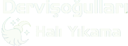 kurtköy halı yıkama